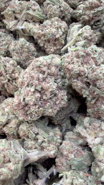 Horchata Gas - Bulk - Hybrid