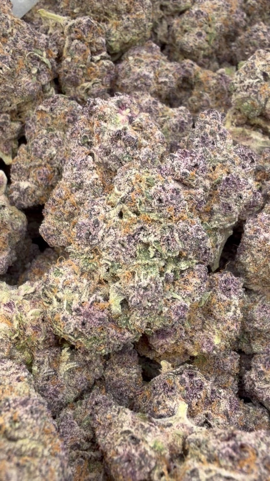 Purple Trainwreck Indoor - Bulk - Sativa