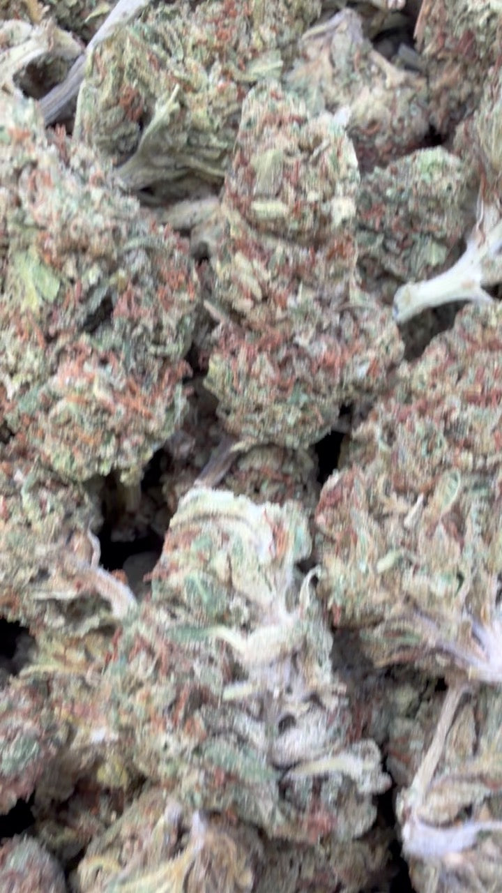 Jager Sour Diesel - Bulk - Sativa