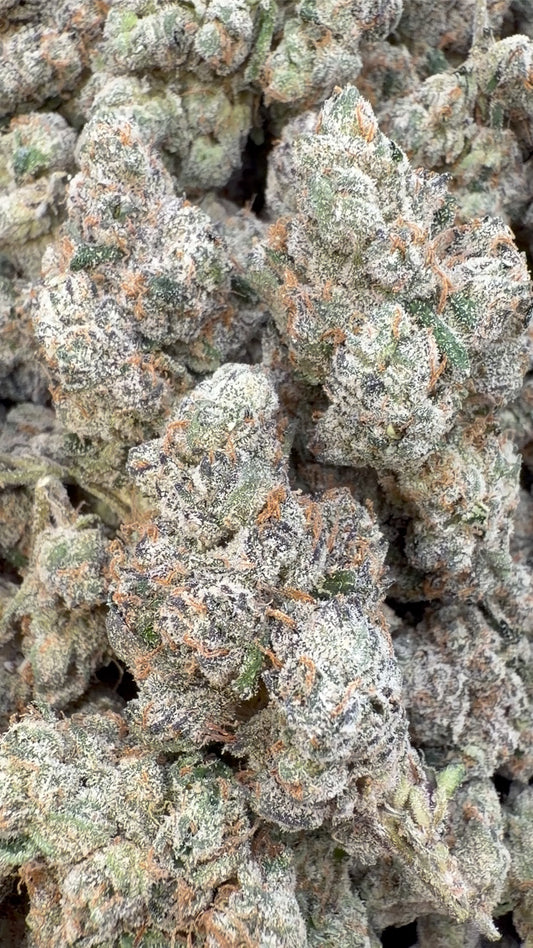 Elite Boutique Exotics Yuzu Cherries - Bulk - Hybrid