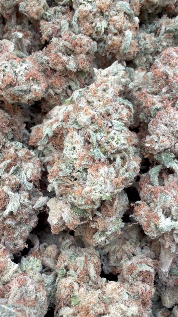 Purple Punch - Bulk - Indica