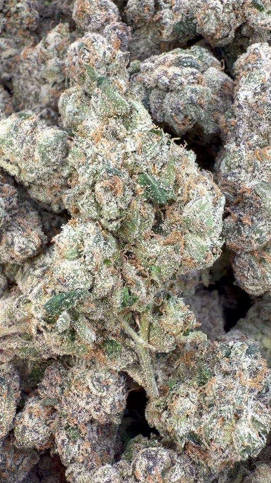 Elite Boutique Exotics Rapper Weed - Bulk - Hybrid