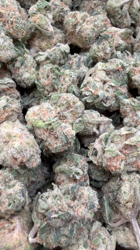 Acapulco Gold Minis - Bulk Minis - Sativa