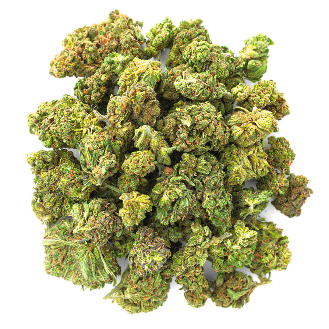 Jungle Gelato - 28 Grams - Indica