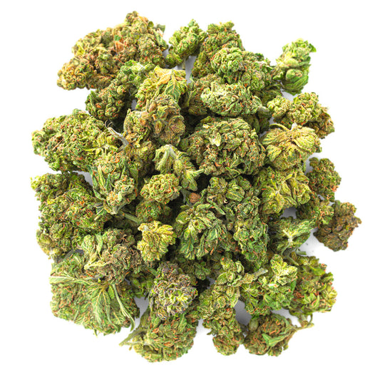 Jungle Gelato - 28 Grams - Indica