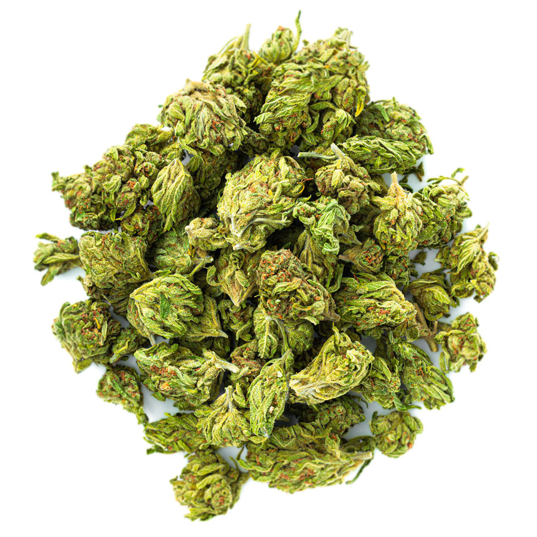 Blueberry Cough - 28 Grams - Sativa