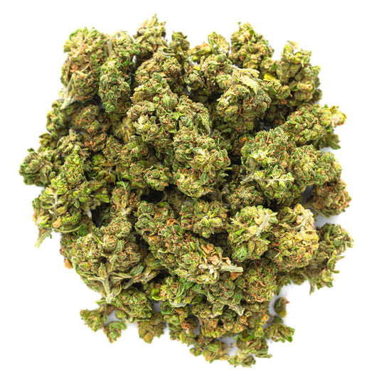 ZAZA - Northern Lights - 28 Grams - Indica