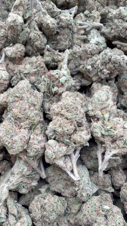 Zlushies - Bulk - Indica