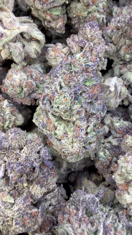 Fidel Runtz - Bulk - Hybrid