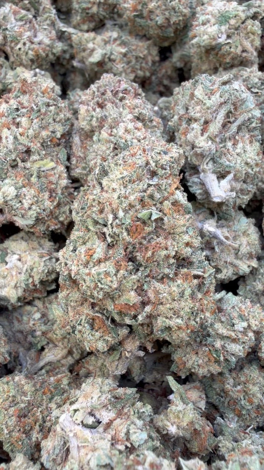 Mochi Gelato - Bulk - Indica