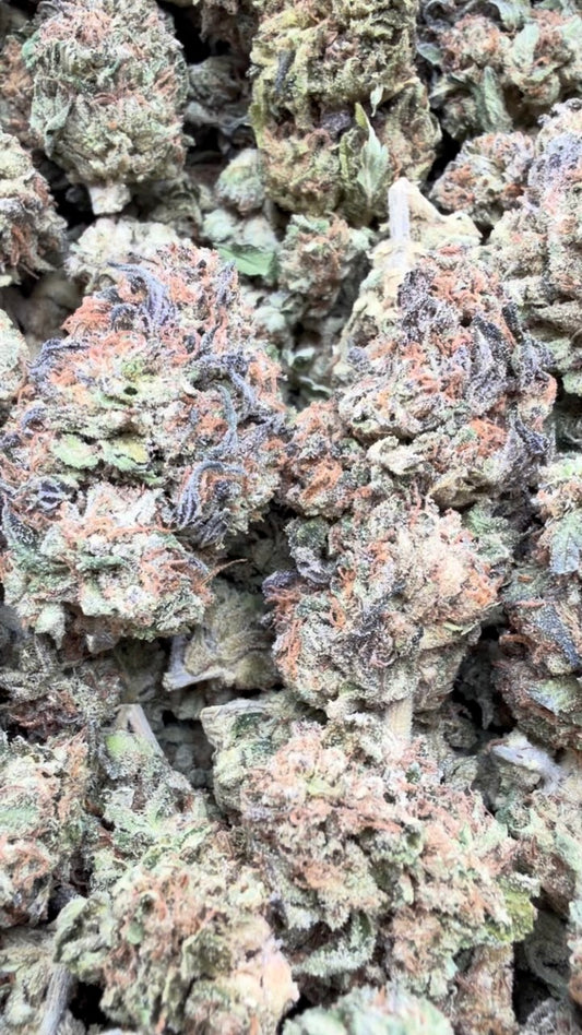 Purple Punch - Bulk - Indica