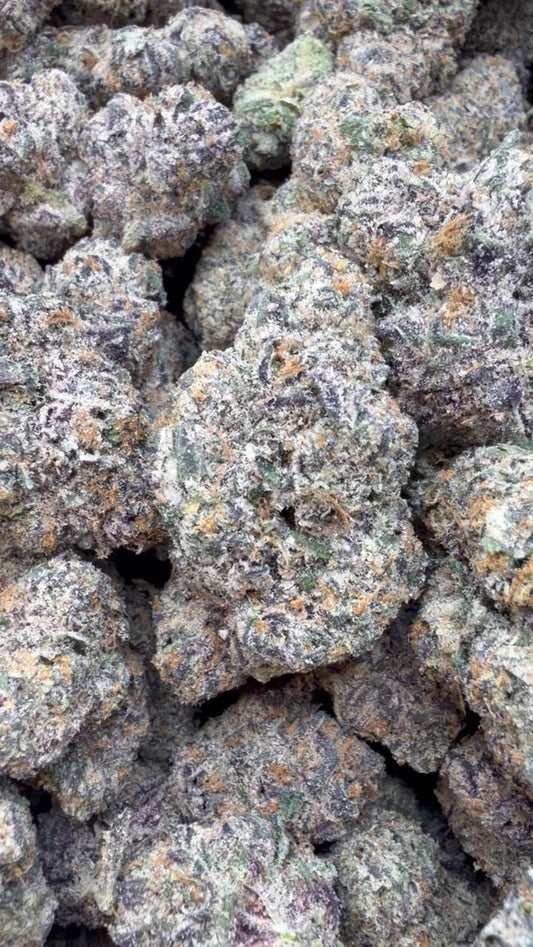 Presidential Runtz Indoor - Bulk- Hybrid