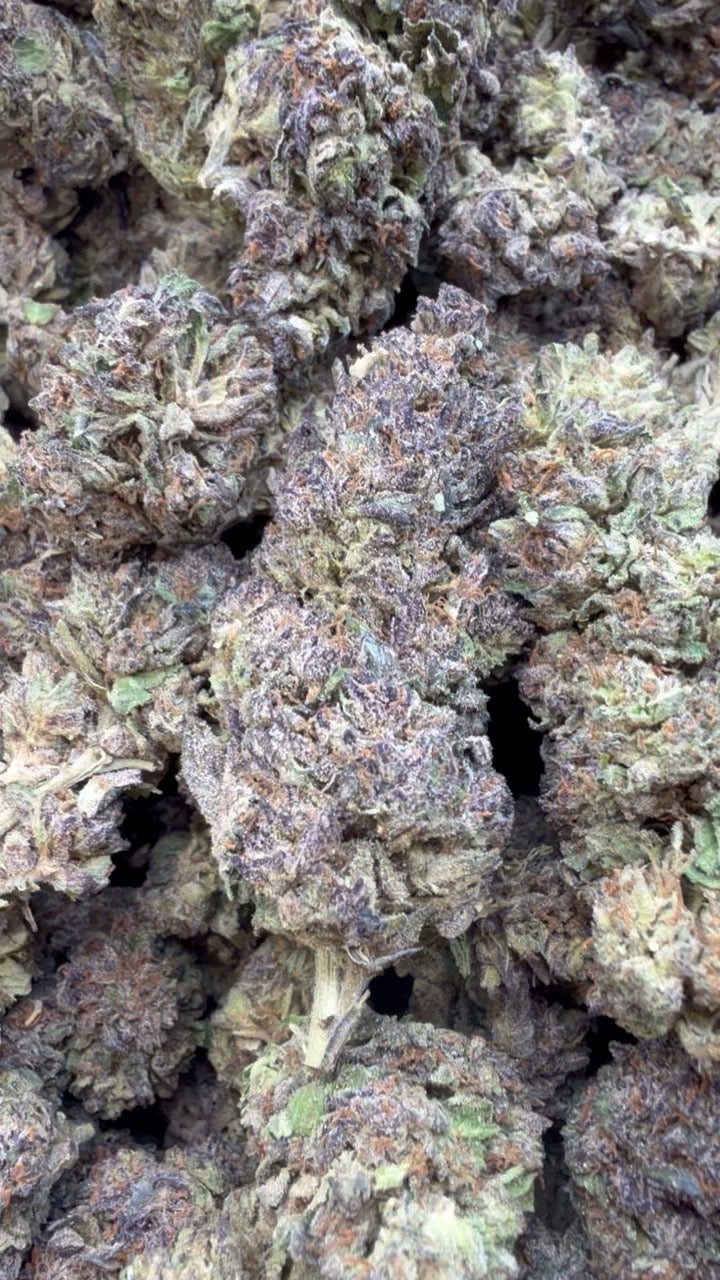 Purple Churro - Bulk - Indica