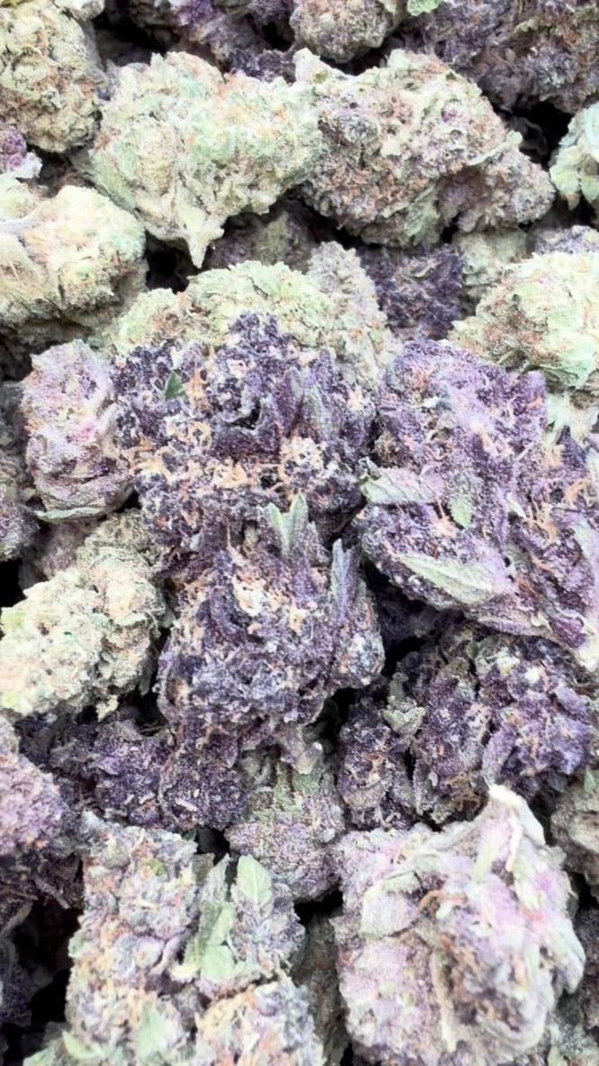 Pop Cherry - Bulk - Hybrid