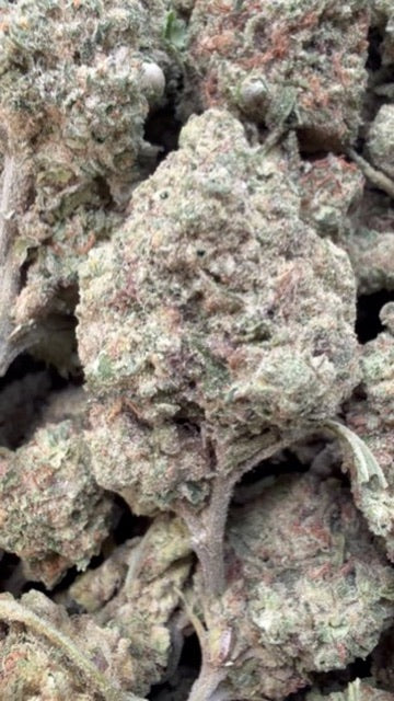 Sour Apple - Bulk - Hybrid