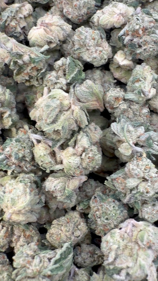 Zlushies Indoor Minis - Bulk Minis - Indica
