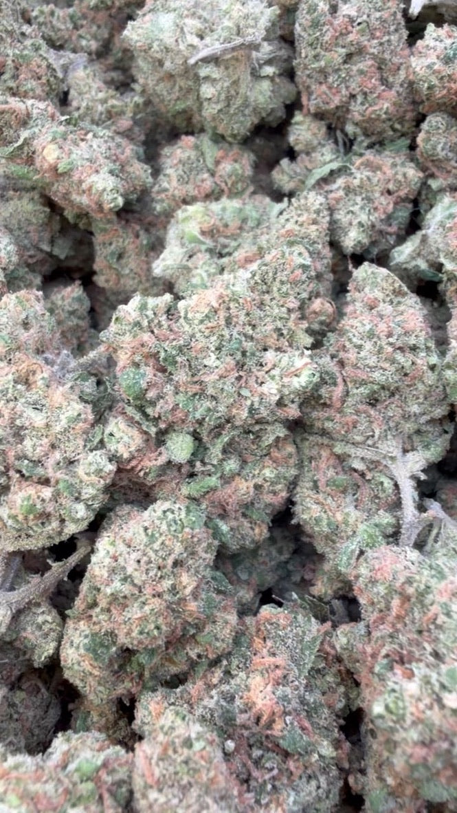 Green Crack - Bulk - Sativa