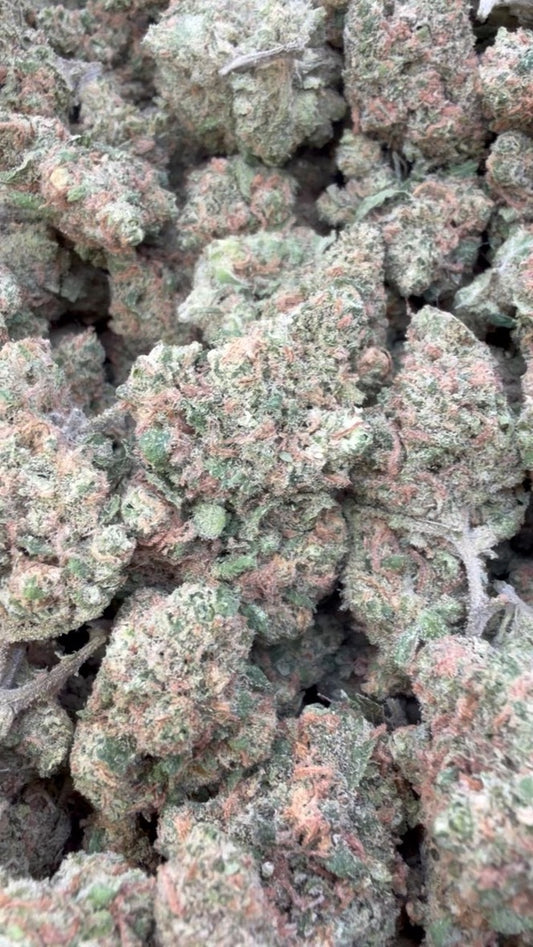 Green Crack - Bulk - Sativa