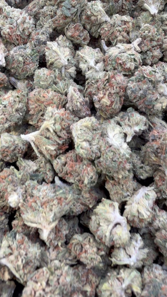 Jager Sour Diesel Minis - Bulk Minis - Sativa