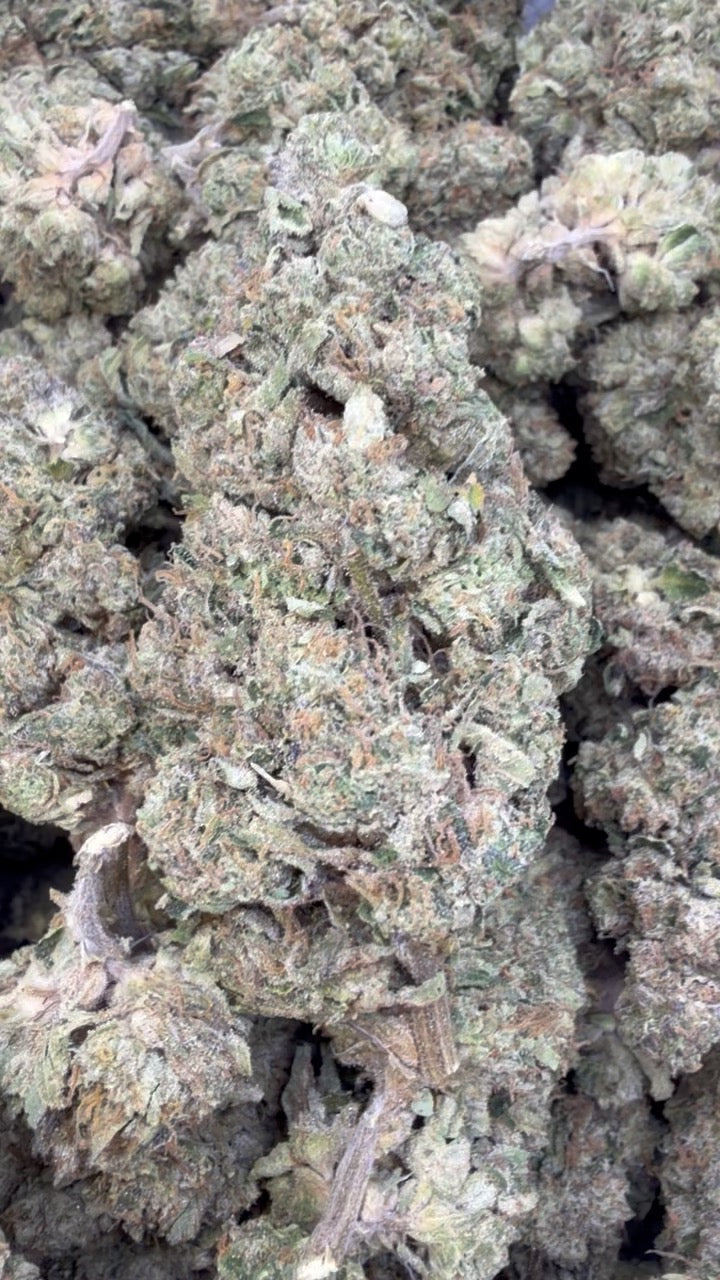 Sherblato - Bulk - Hybrid