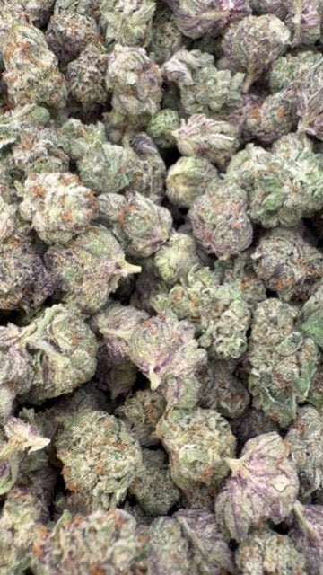 Birthday Cake Indoor Minis - Bulk Minis - Indica