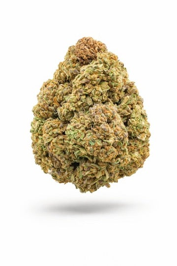 Jungle Gelato - Bulk - Indica