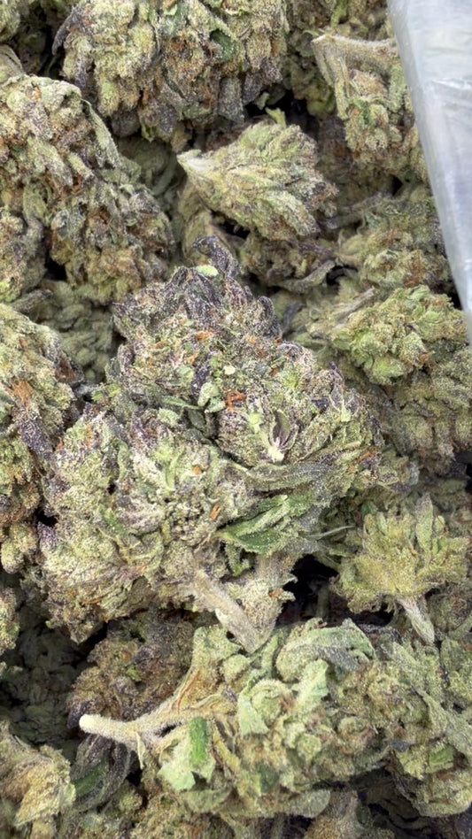 Double Runtz - Bulk - Hybrid