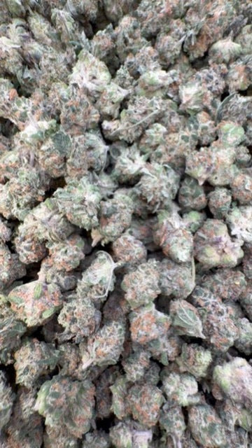 Sharpie Candy Minis - Bulk Minis - Hybrid