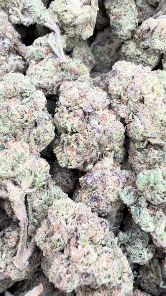 Gary Cherry - Bulk - Indica