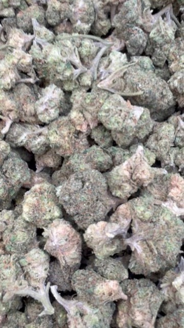 Double Runtz Minis - Bulk Minis - Hybrid