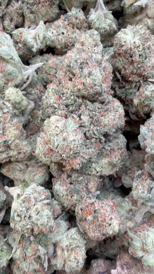 Purple Kush - Bulk - Indica