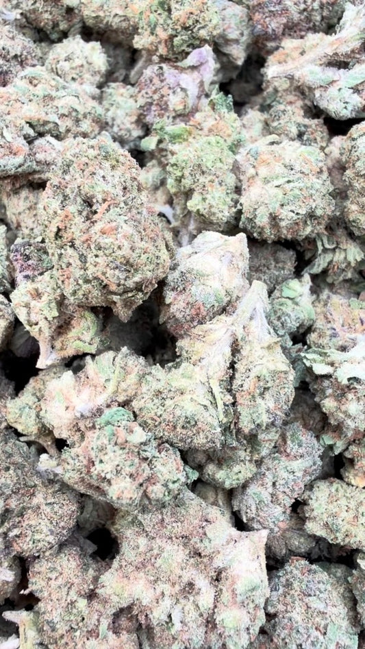 Jungle Gelato Minis - Bulk Minis - Indica