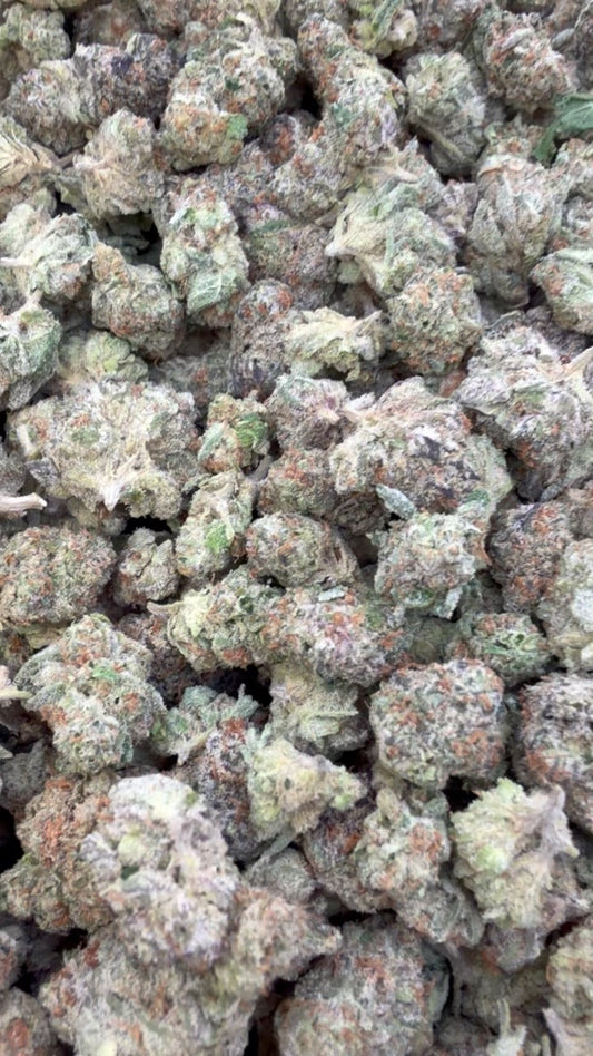 Pink Runtz Mediums - Bulk Mediums - Hybrid