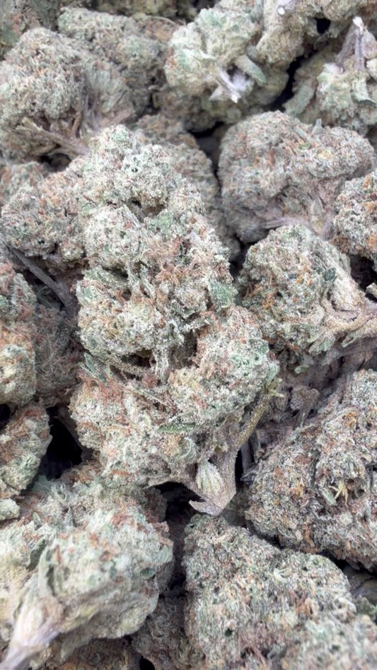 Caramel Apple - Bulk - Hybrid