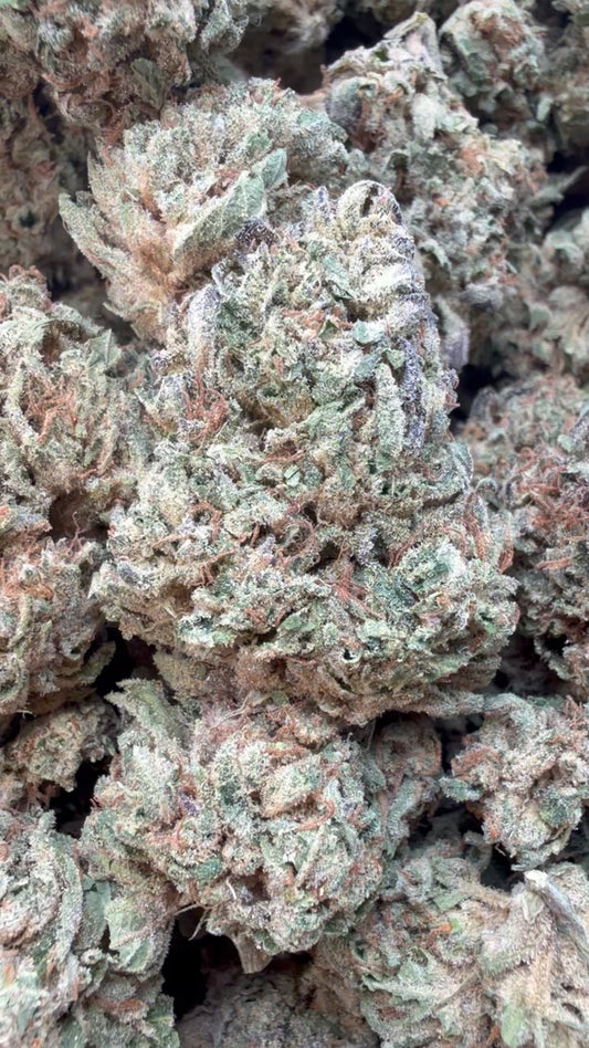 Chem Dawg - Bulk - Hybrid