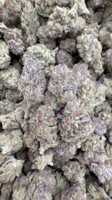 Blueberry Cough - Bulk - Sativa