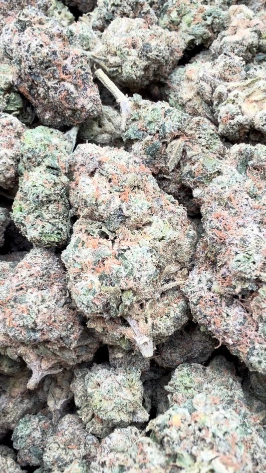 White Runtz Indoor - Bulk - Hybrid