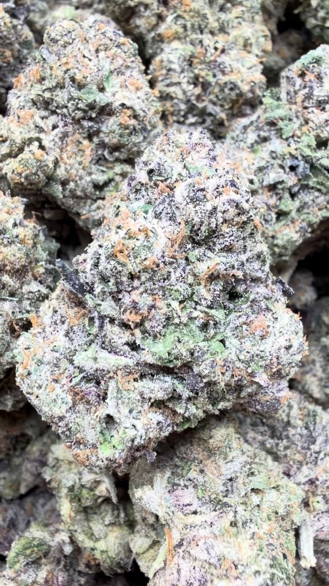 Permanent Marker Indoor - Bulk - Hybrid