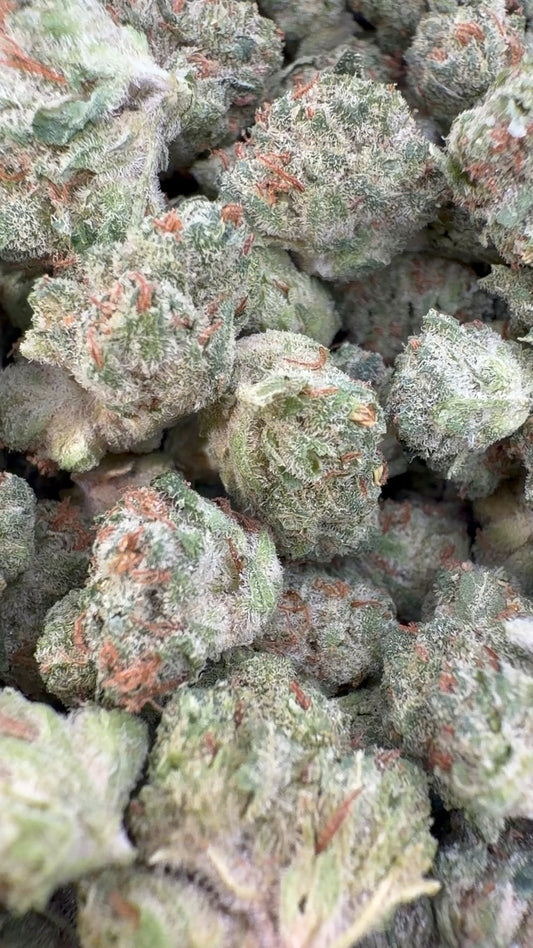 Laughing Gas Indoor Minis - Bulk Minis - Hybrid