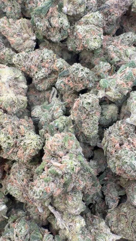 Double Dream Indoor Minis - Bulk Minis - Sativa