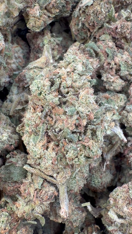 Papaya Runtz - Bulk - Hybrid