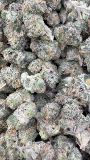 Do Si Dos Indoor Minis - Bulk Minis - Indica