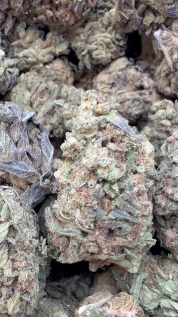 Mochi Gelato - Bulk - Indica