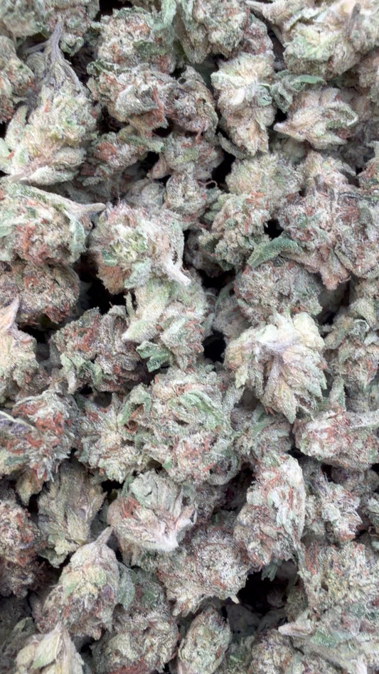 LA Kush Cake Minis - Bulk Minis - Indica