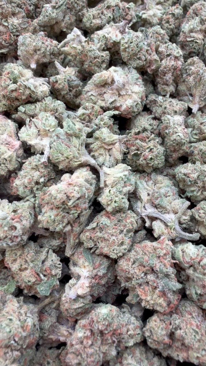 Banana Runtz Minis - Bulk Minis - Hybrid