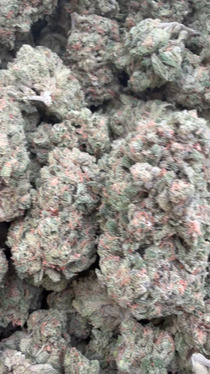 Double Dream - Bulk - Sativa