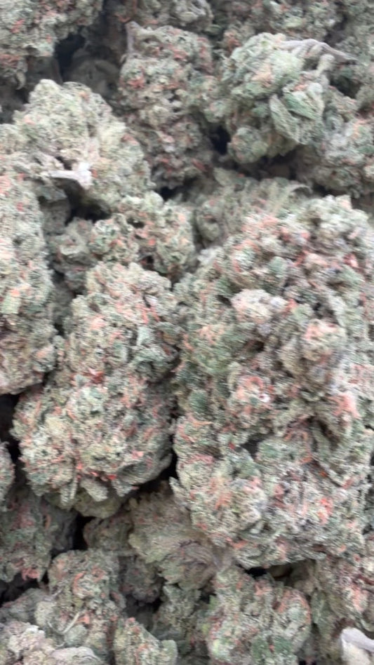 Double Dream - Bulk - Sativa