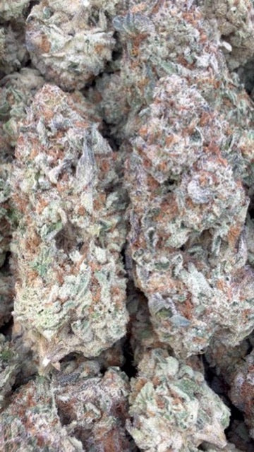 Lemon Bar - Bulk - Sativa