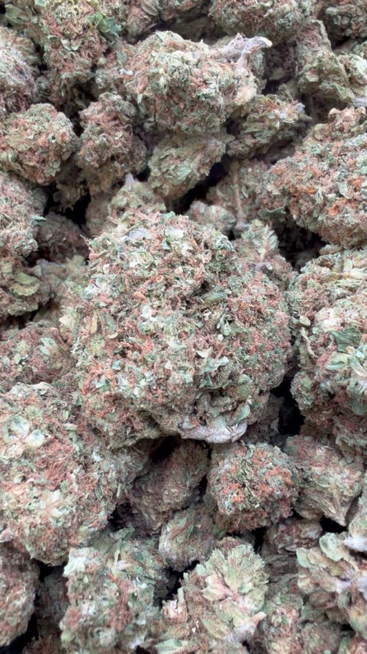 Lambs Bread - Bulk - Sativa