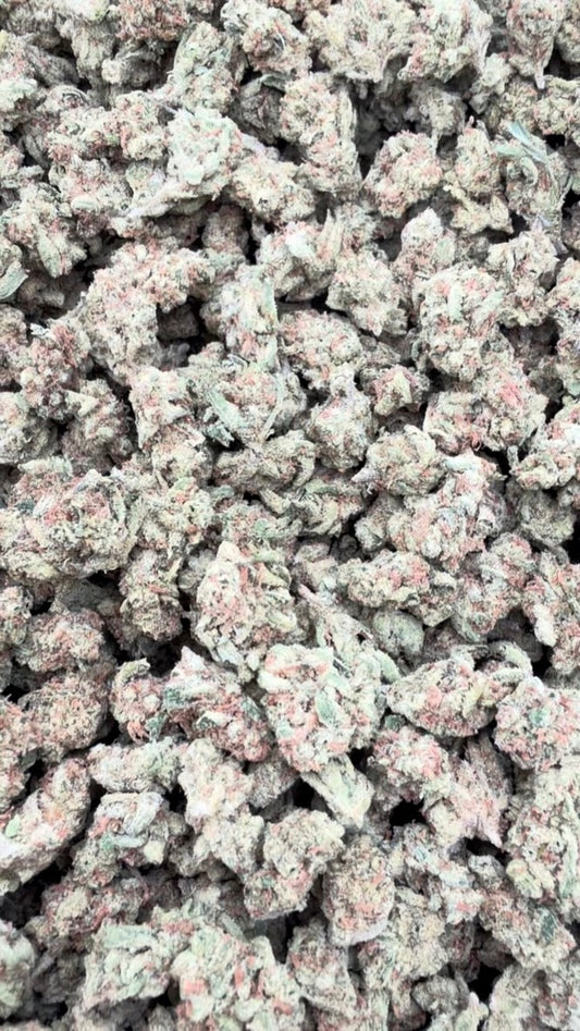 Super Lemon Haze Minis - Bulk Minis - Sativa
